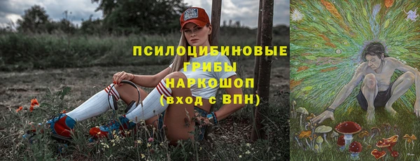 соль ск Яровое